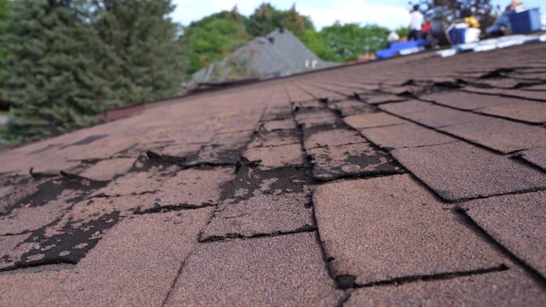 Best Roof Insulation Installation  in Comstock Northwest, MI